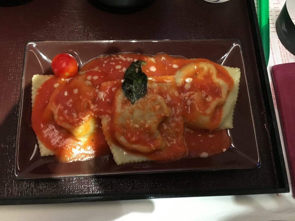 garuda_indonesia_business_class_boeing_737-22