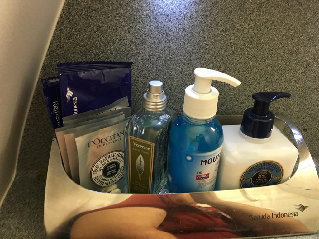 garuda_indonesia_business_class_boeing_737-35