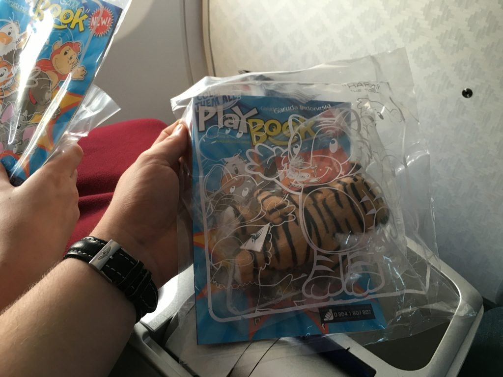 garuda_indonesia_business_class_boeing_737-40