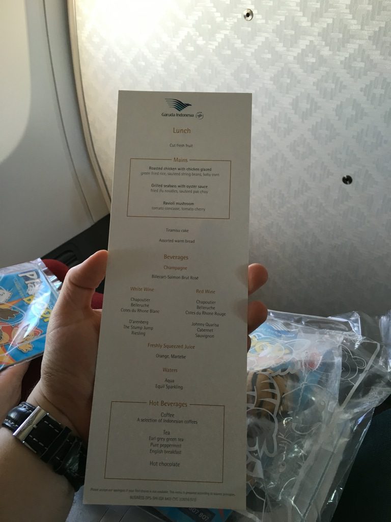 garuda_indonesia_business_class_boeing_737-41